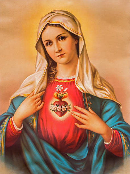 AMALIA SORRENTINO
